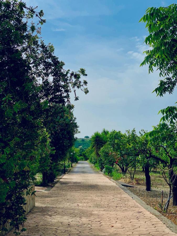 卡拉塔比亚诺Il Giardino Delle Zagare别墅 外观 照片